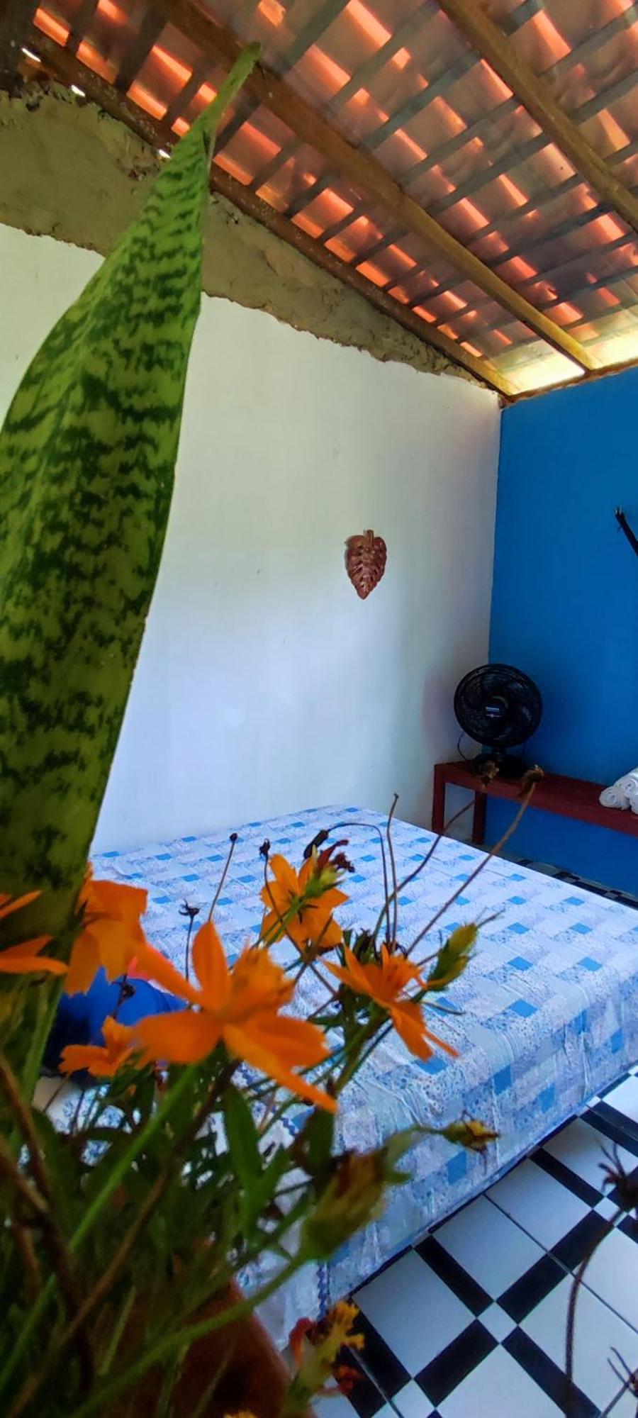 Eco Hostel Lunar Сори Экстерьер фото